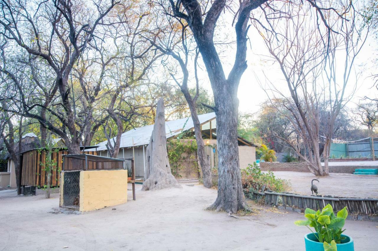 Sitatunga Campsite Maun Exterior foto