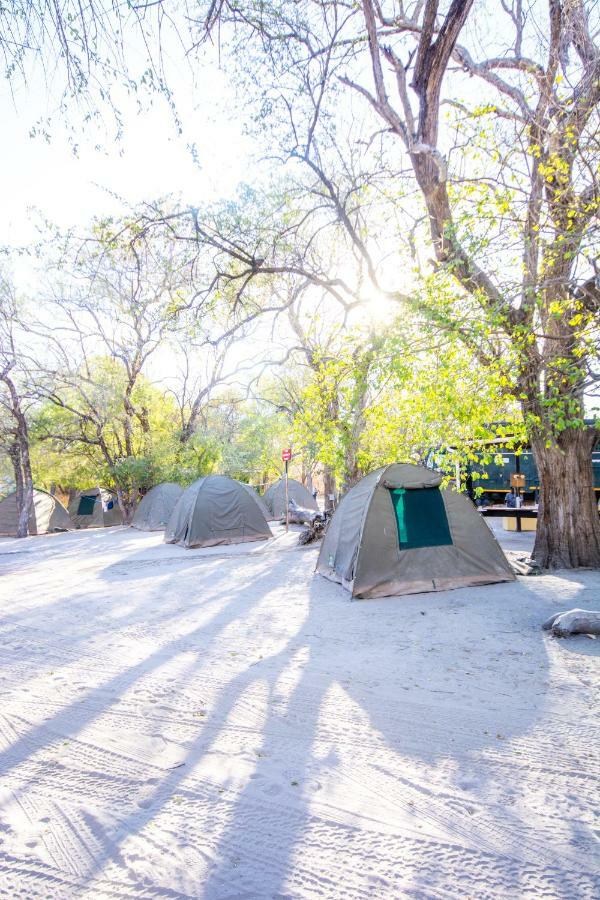 Sitatunga Campsite Maun Exterior foto