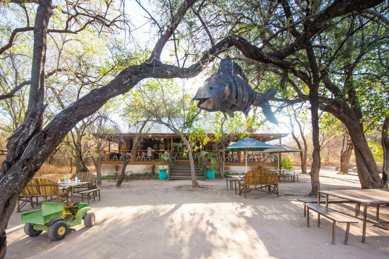 Sitatunga Campsite Maun Exterior foto